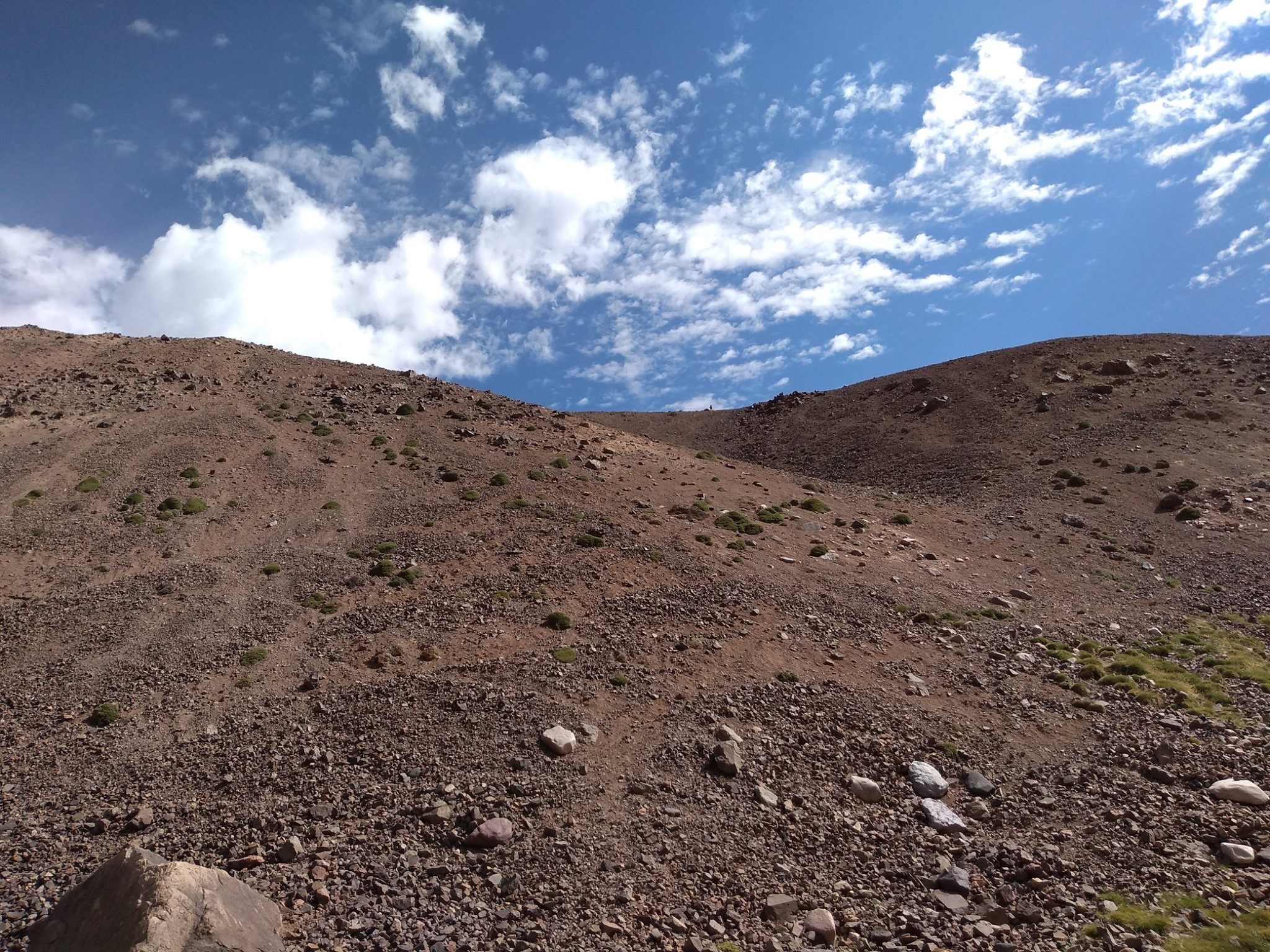Ladera con vegetación escasa